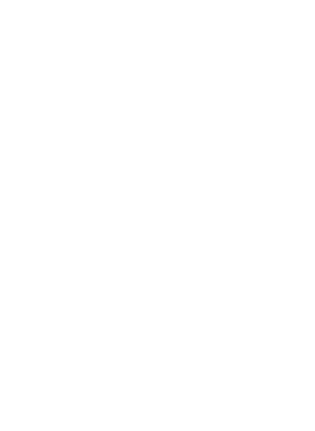 Deco_Rays