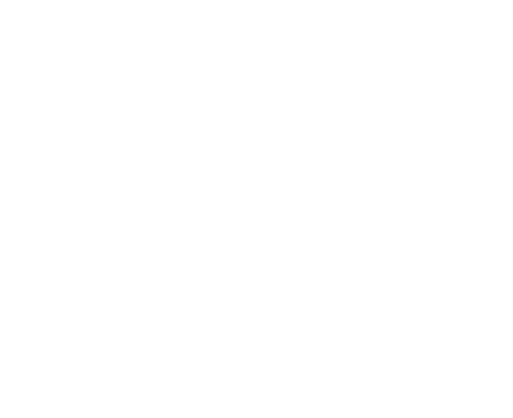 IIX White Logo